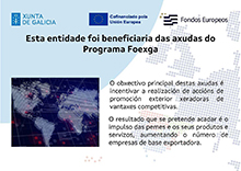 Cartel_Ayudas_Igape_FOEXGA_ga-2025