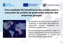 Cartel_Ayudas_Igape_GEE