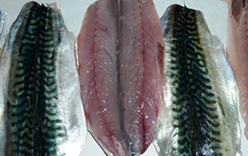 Filetes de pescado congelado