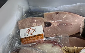 Rodajas de pescado conegelado