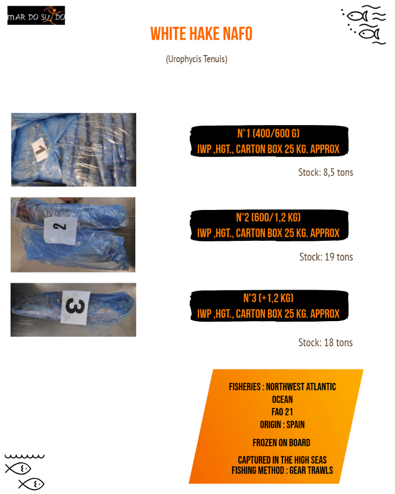 WHITE HAKE HGT