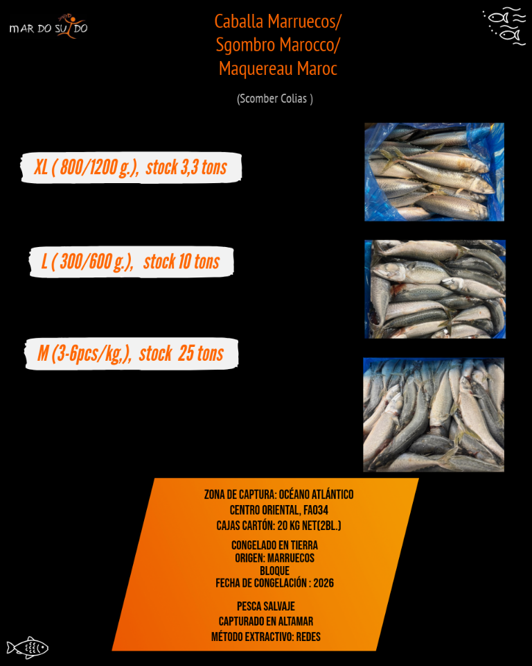 Oferta de Caballa Marruecos 2 Oferta de Caballa Marruecos