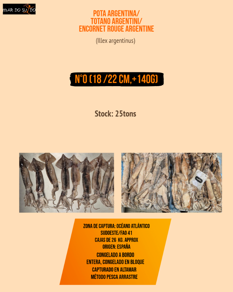Offerta di Totano Argentino