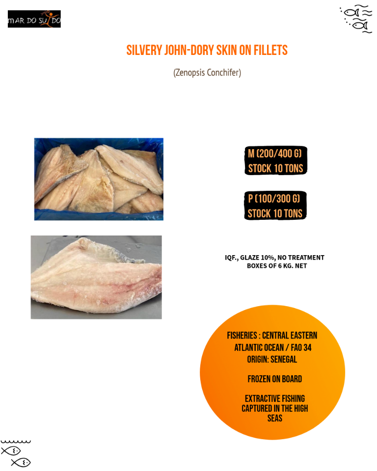 SILVERY JOHN DORY FILLETS