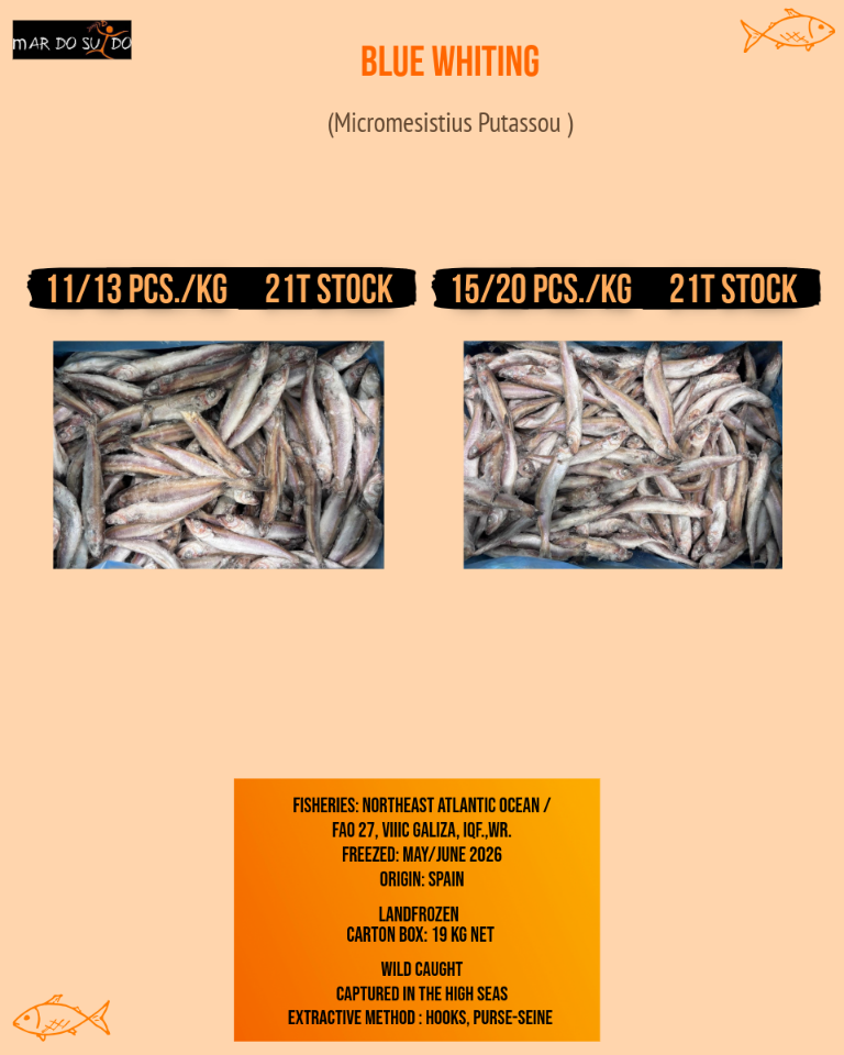 Blue whiting offer 3 Blue whiting offer