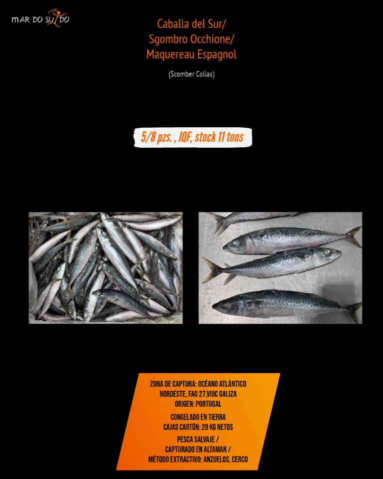 Oferta de Caballa del Sur 4 Oferta de Caballa del Sur