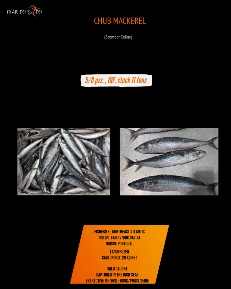 Chub Mackerel offer 4 Chub Mackerel offer