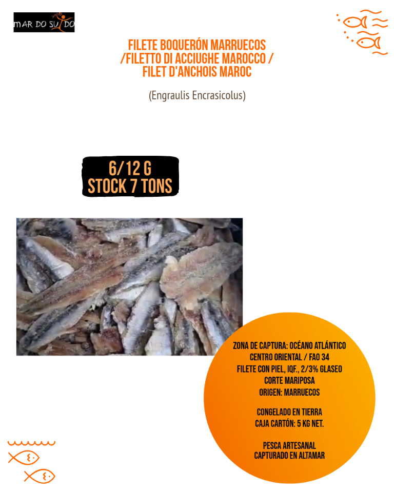 Offerta di filetto di Acciughe Marocco