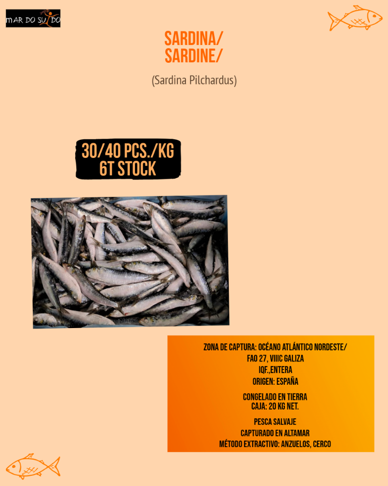 Offerta di sardine