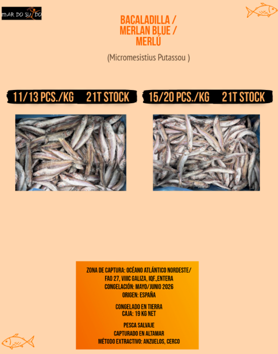 BACALADILLA