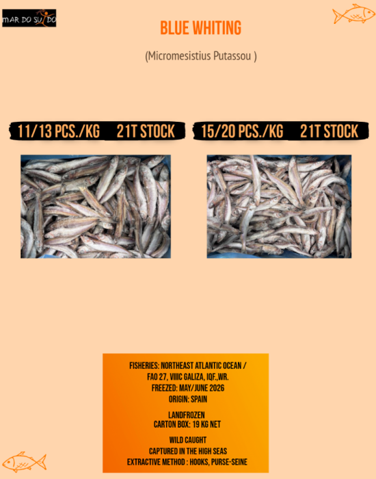 BLUE WHITING