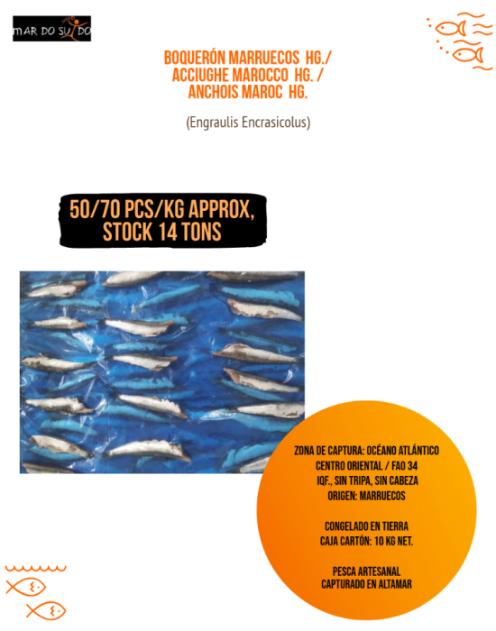 ANCHOIS DEL MAROCCO HG