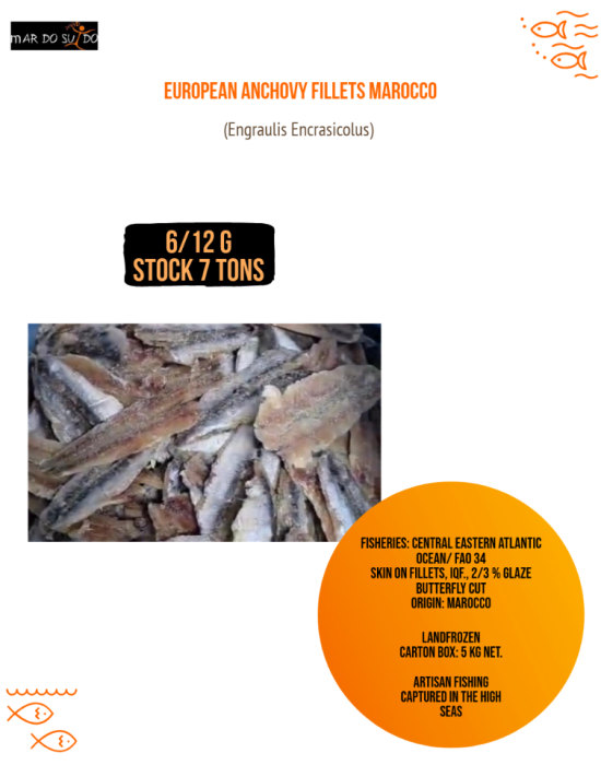 EUROPEAN ANCHOVY FILLETS MOROCCO