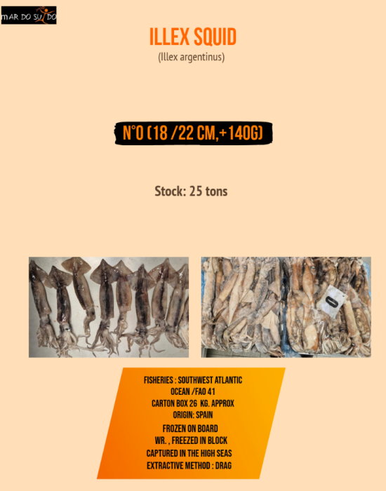 ILLEX SQUID