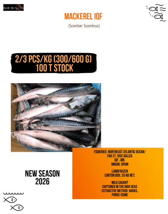 MACKEREL 2-3 IQF