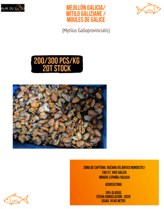 COZZE DELLA GALIZIA