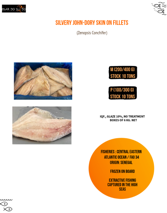 SILVERY JOHN DORY FILLETS